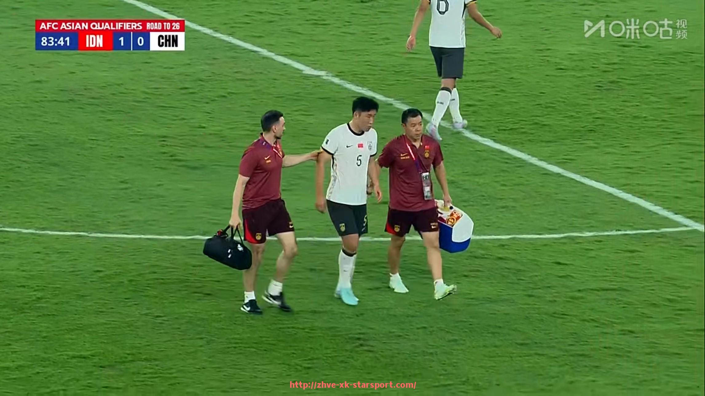 星空体育-德甲球队规则大全图解及联赛管理制度详述