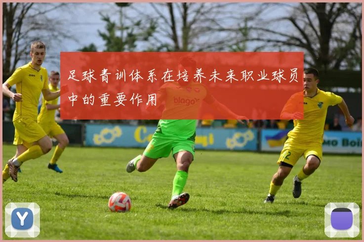 足球青训体系在培养未来职业球员中的重要作用