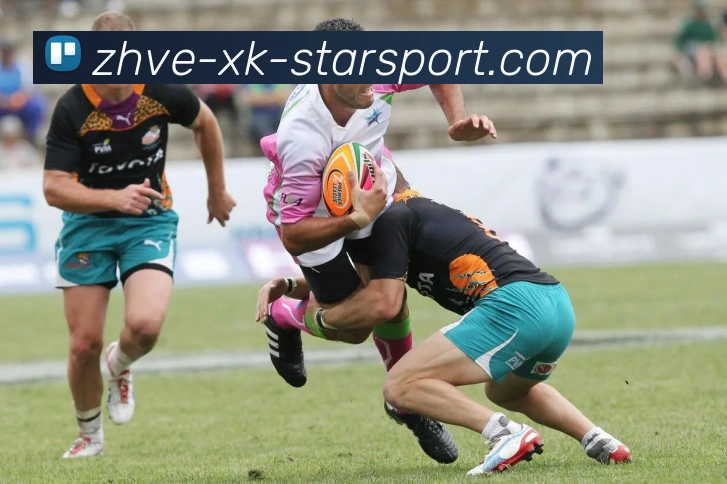 App Interface Preview