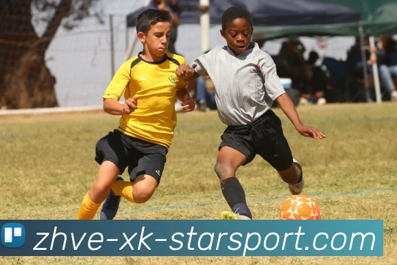 星空体育APP 封面图